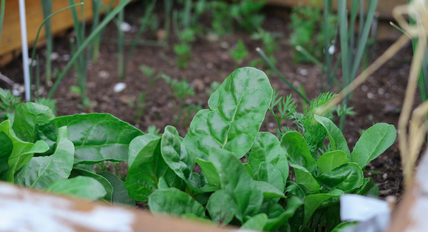 Indoors Family Activities Ideas In Winter