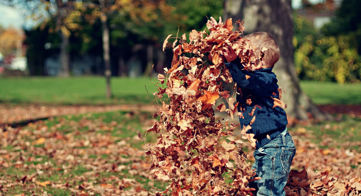 Natural Outdoor Play Space For Kids