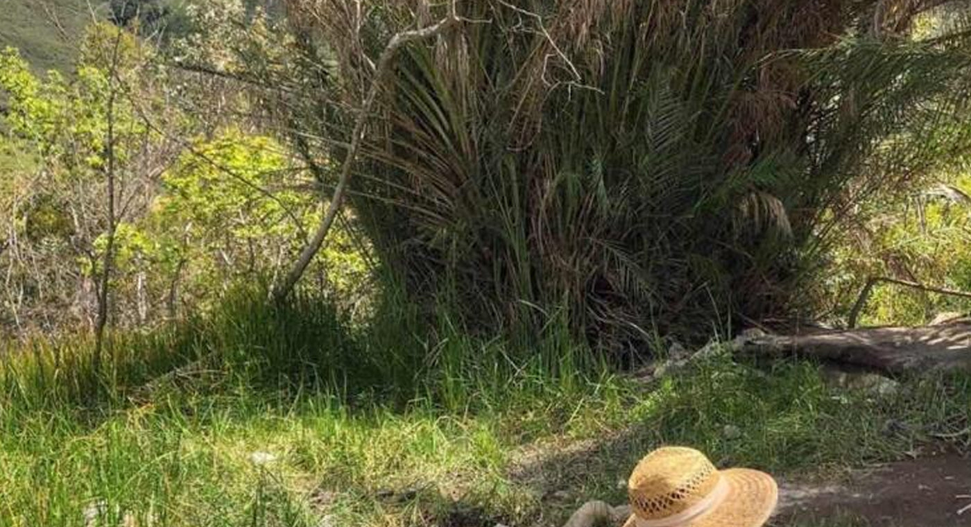 How To Pack For 1 Week In 1 Carry-on