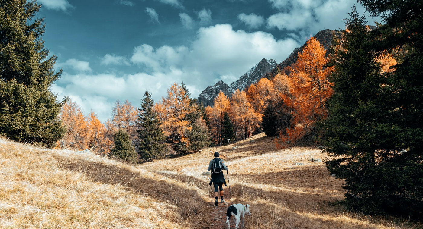 The Best Weekend Get-away Ideas In Fall