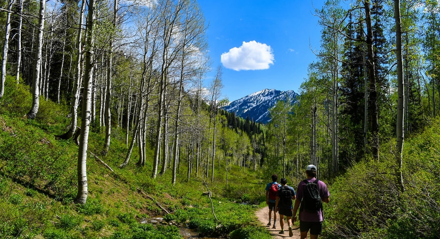 5 Easy Hikes For Beginners In The USA