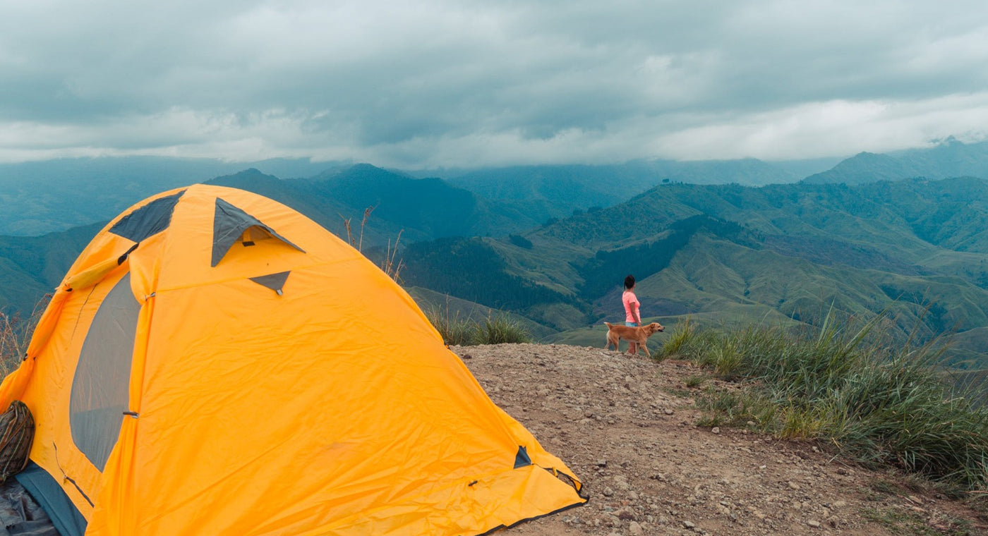 Tips For Camping With Dogs (2020)