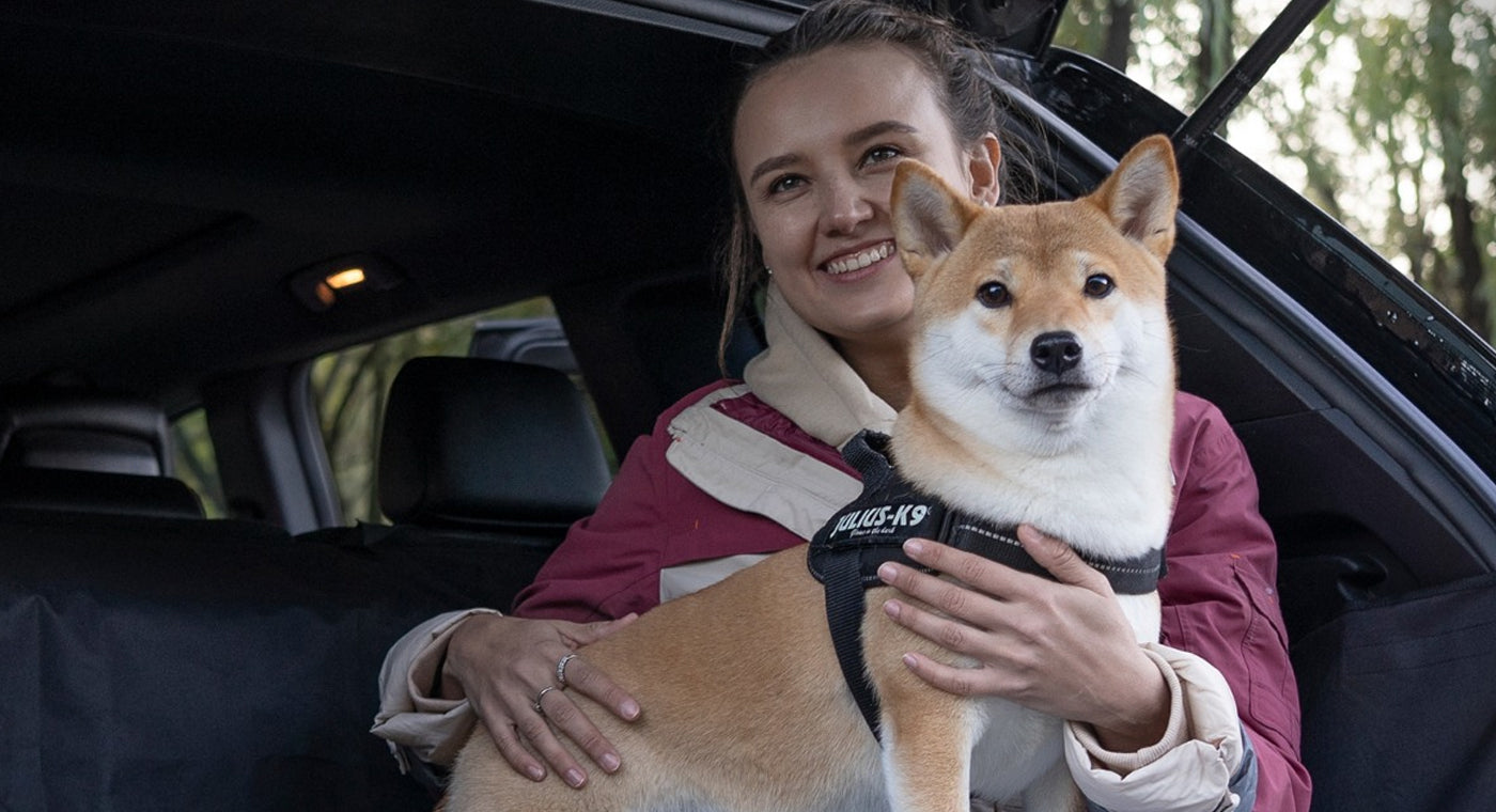 Ultimate Car SUV Cargo Liner For The Dogs