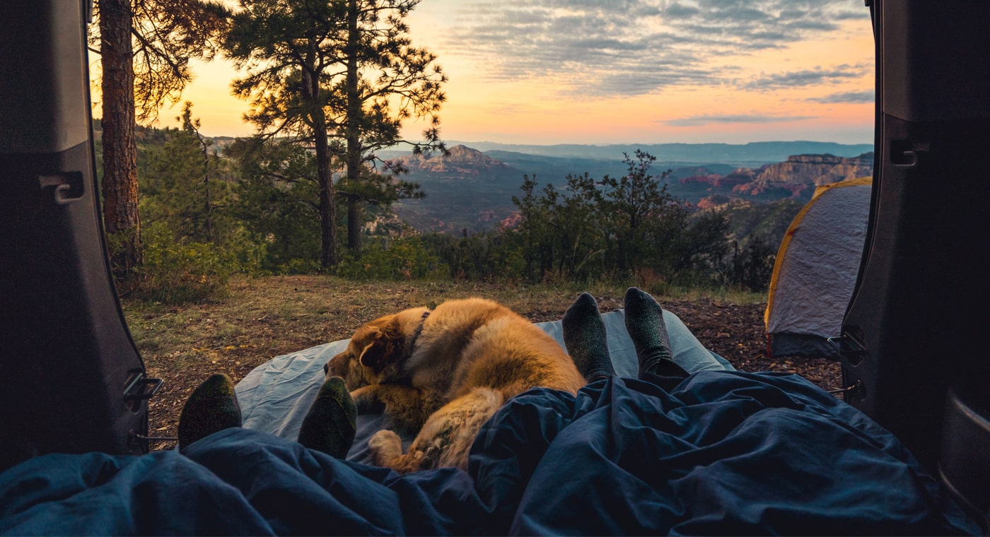 Current On Trend | 6 Must-have For SUV Camping