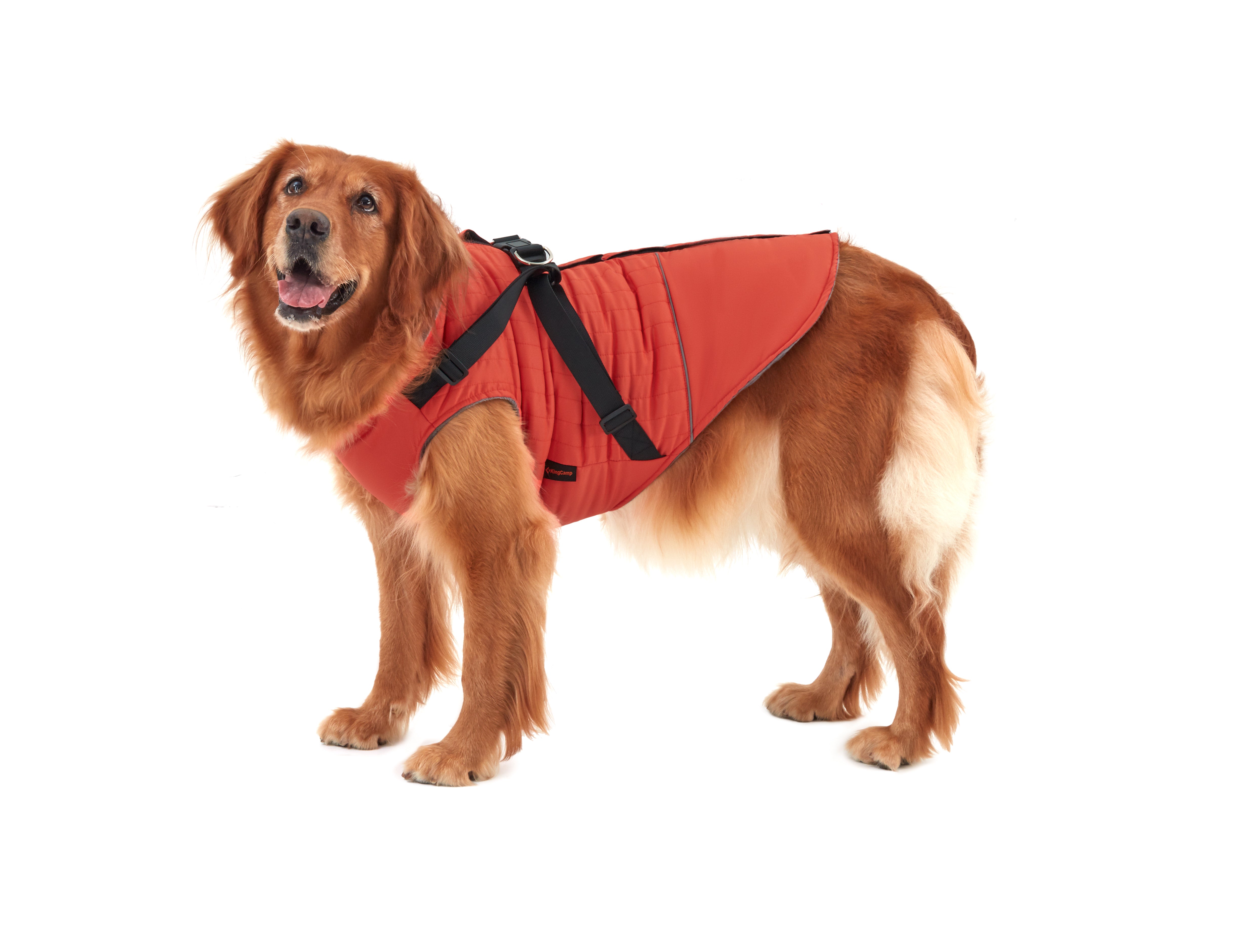 KingCamp PETS Winter Dog Coat with Harness