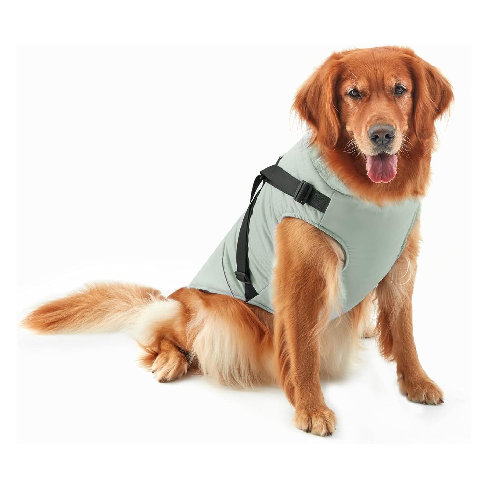 KingCamp PETS Winter Dog Coat with Harness