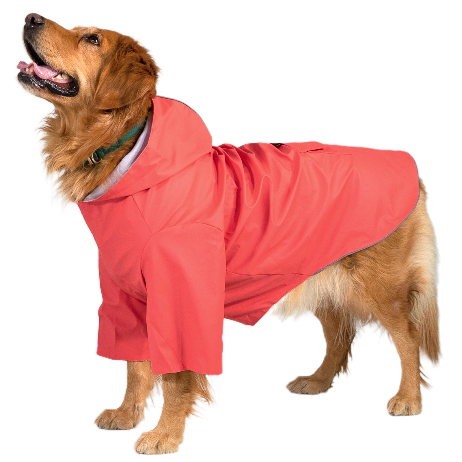 KingCamp PETS Dog Raincoat XXXL