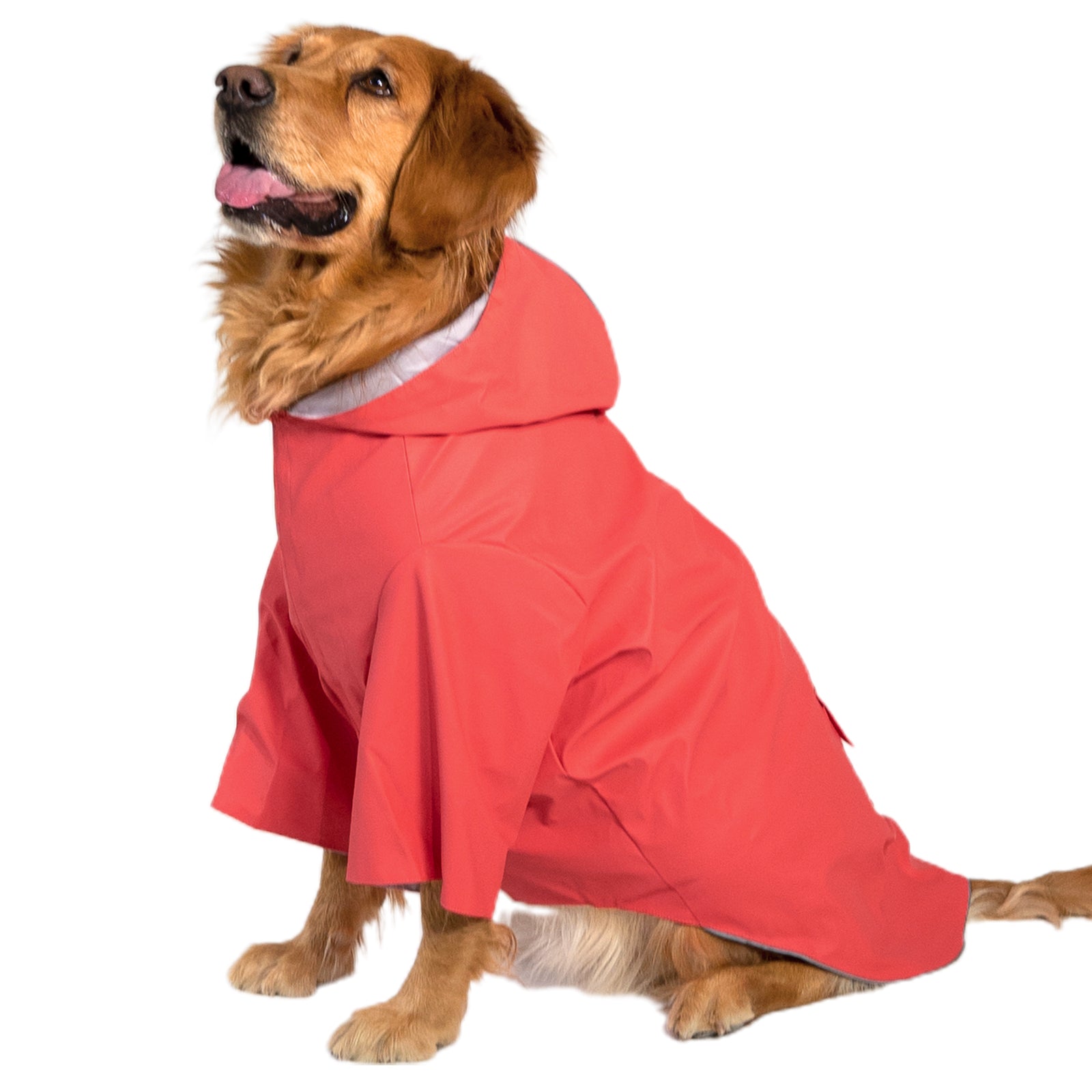 KingCamp PETS Dog Raincoat XXXL