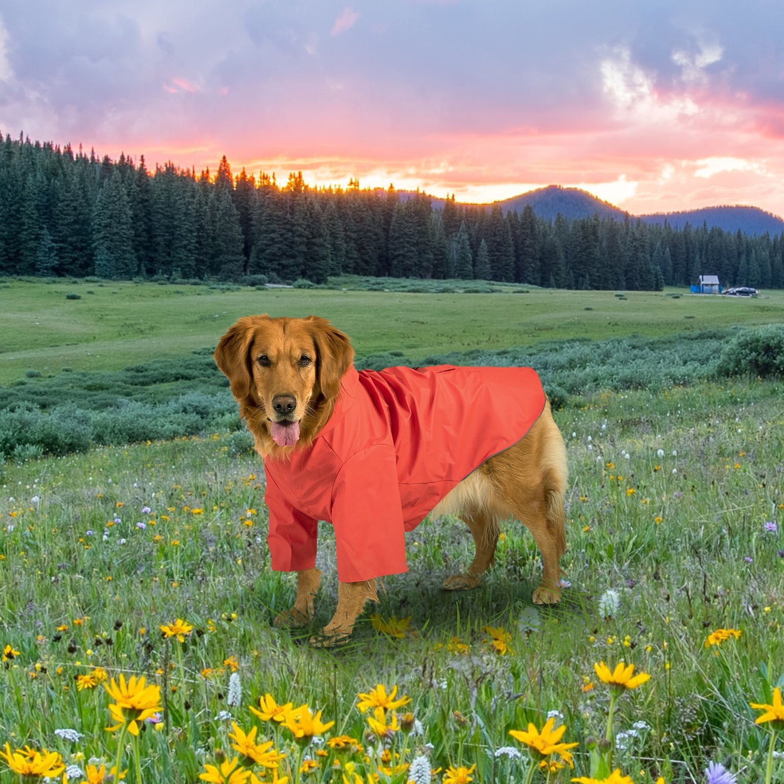 KingCamp PETS Dog Raincoat XXXL