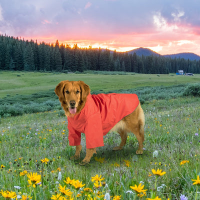 KingCamp PETS Dog Raincoat XXXL