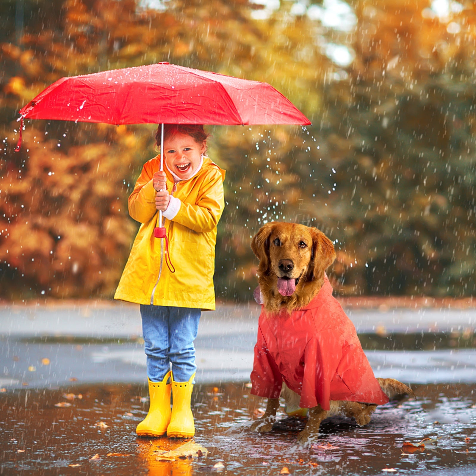 KingCamp PETS Dog Raincoat XXXL