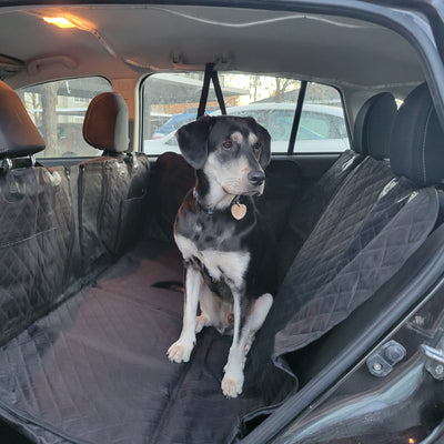 KingCamp Hard Bottom Dog Car Seat Cover | BOGO