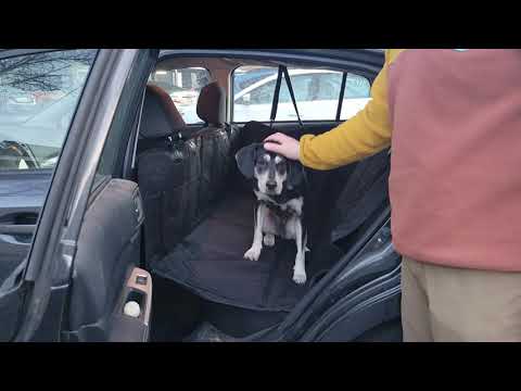 KingCamp Hard Bottom Dog Car Seat Cover