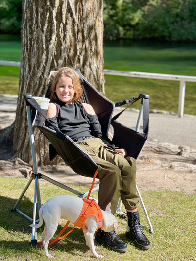 KingCamp Aluminum Alloy Swing Camping Hammock Chair